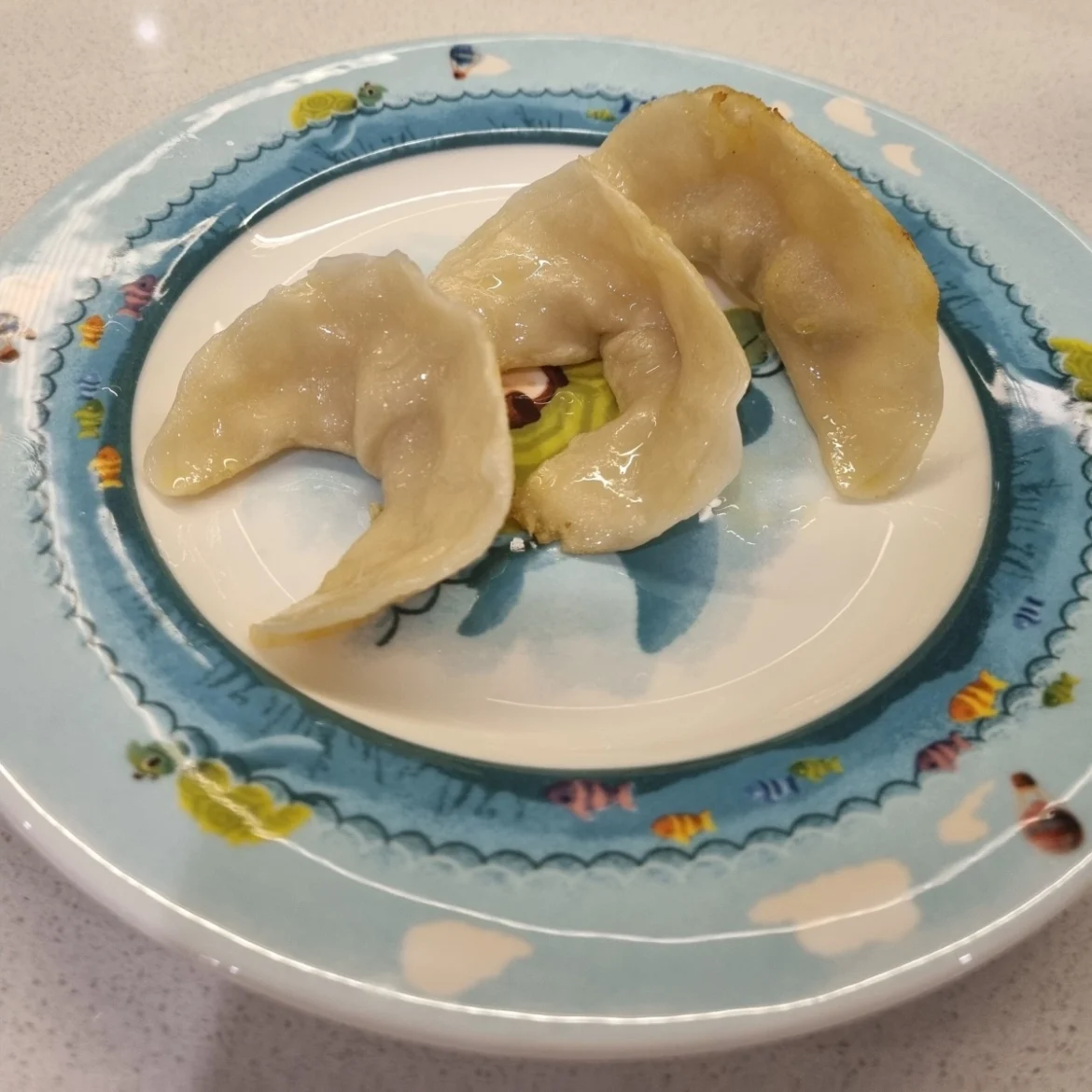 HFI chicken dumplings recipe with crispy golden crust